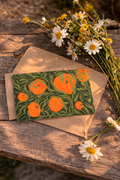 Orange Blossom Fine Art Postcard Set — Botanical Citrus Illustration Cards