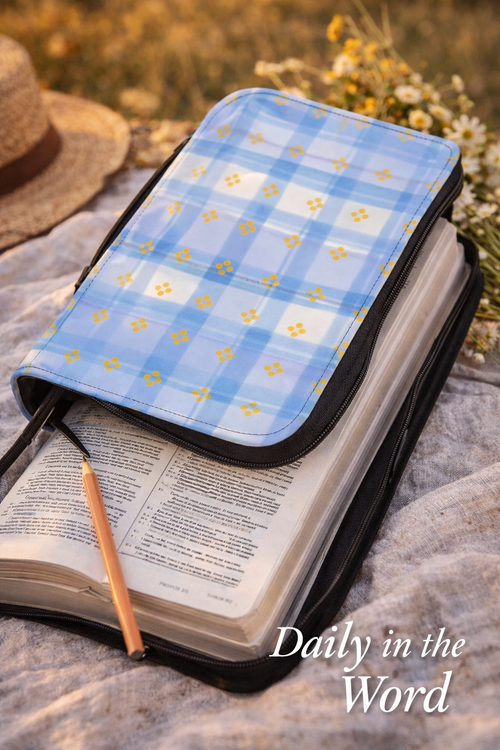 Bible Cover — Blue Plaid Zippered Bible Case with Gold Fleur Pattern